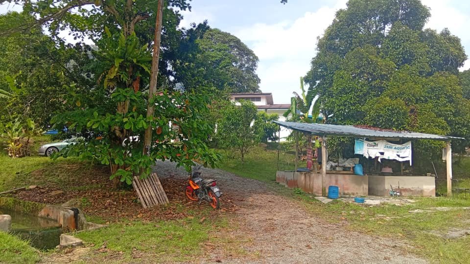 Project Puan ita kg baru by kebenet.com